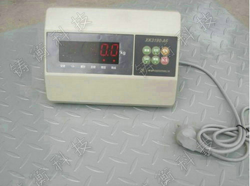 標(biāo)準(zhǔn)地秤