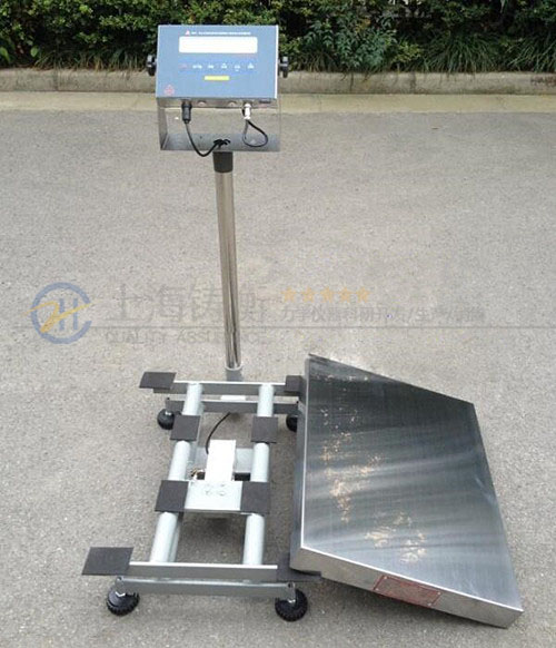 本安防爆式電子臺秤