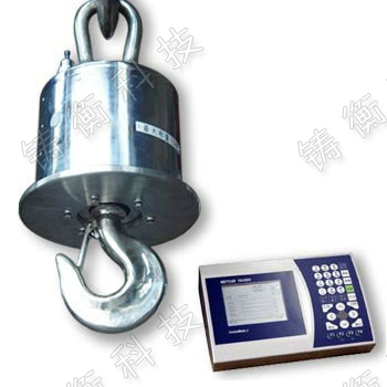 電子吊鉤秤